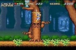 act raiser game play