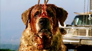 cujo movie
